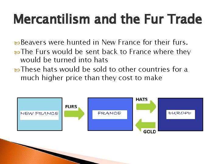 Mercantilism and the Fur Trade Beavers were hunted in New France for their furs.