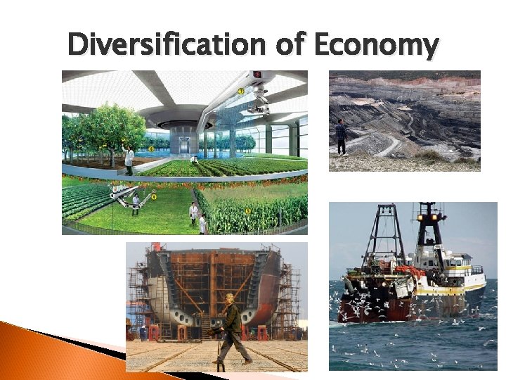 Diversification of Economy 