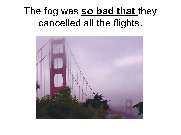 The fog was so bad that they cancelled all the flights. 