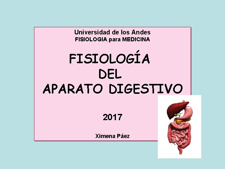 Universidad de los Andes FISIOLOGIA para MEDICINA FISIOLOGÍA DEL APARATO DIGESTIVO 2017 Ximena Páez