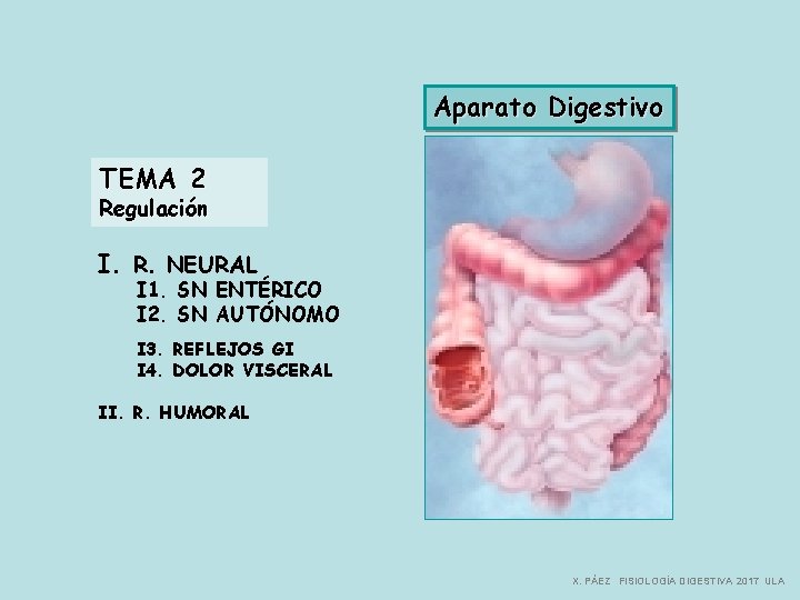 Aparato Digestivo TEMA 2 Regulación I. R. NEURAL I 1. SN ENTÉRICO I 2.