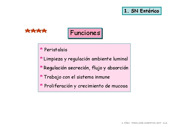 1. SN Entérico **** Funciones * Peristalsis * Limpieza y regulación ambiente luminal *