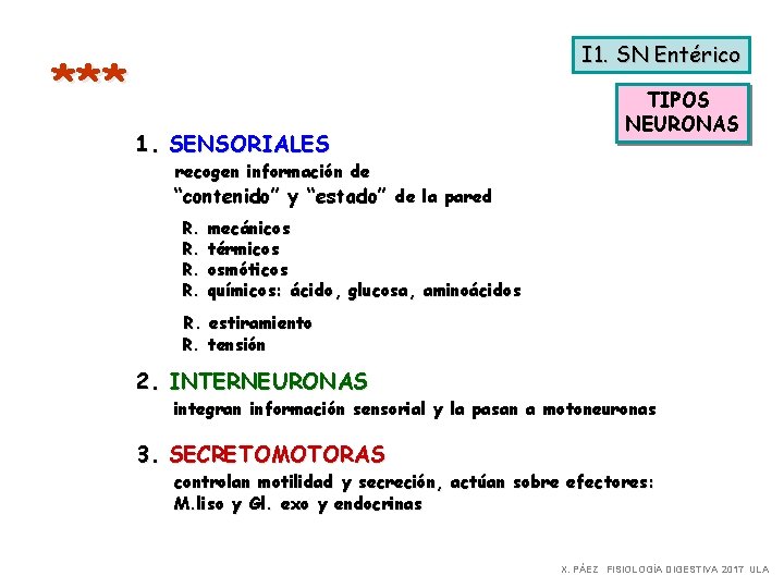 I 1. SN Entérico *** 1. SENSORIALES TIPOS NEURONAS recogen información de “contenido” y