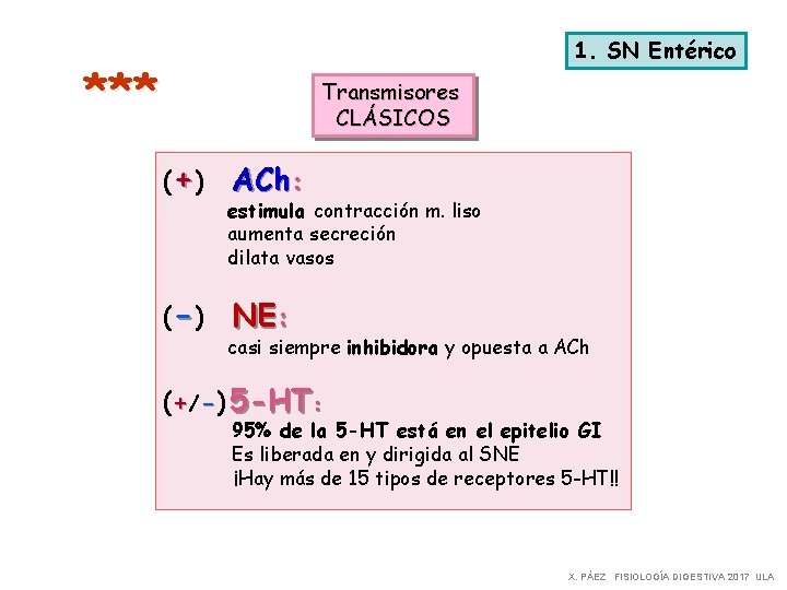 1. SN Entérico *** Transmisores CLÁSICOS (+ ) (- ) ACh: estimula contracción m.