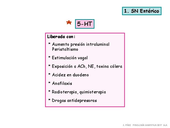 1. SN Entérico * 5 -HT Liberada con: * Aumento presión intraluminal Peristaltismo *