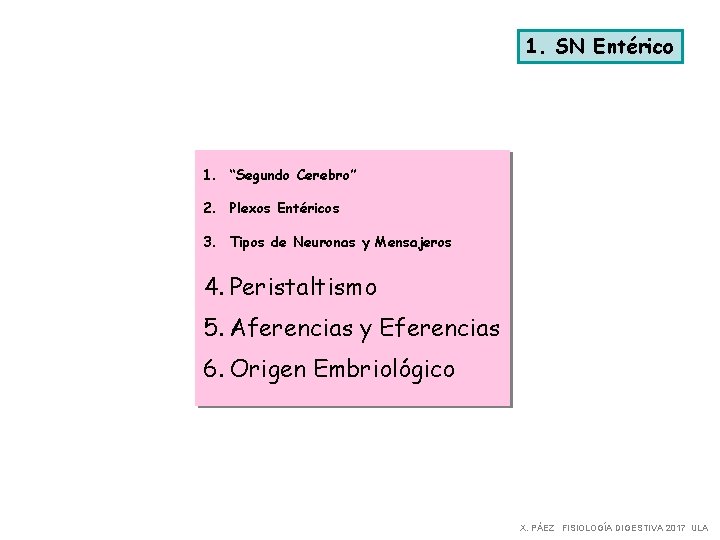 1. SN Entérico 1. “Segundo Cerebro” 2. Plexos Entéricos 3. Tipos de Neuronas y