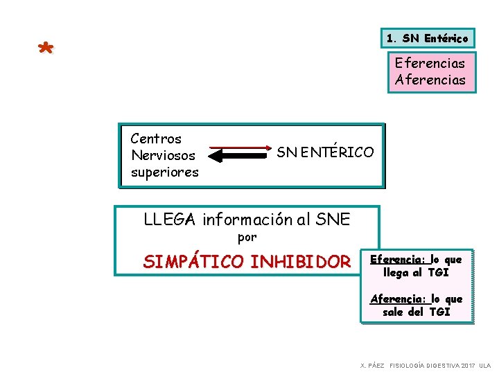 1. SN Entérico * Eferencias Aferencias Centros Nerviosos superiores SN ENTÉRICO LLEGA información al