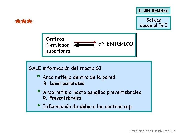 1. SN Entérico *** Salidas desde el TGI Centros Nerviosos superiores SN ENTÉRICO SALE