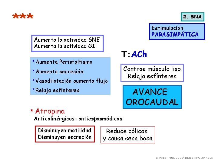 *** 2. SNA Estimulación PARASIMPÁTICA Aumenta la actividad SNE Aumenta la actividad GI •