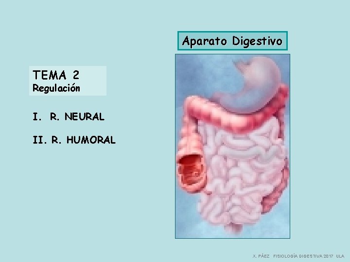 Aparato Digestivo TEMA 2 Regulación I. R. NEURAL II. R. HUMORAL X. PÁEZ FISIOLOGÍA