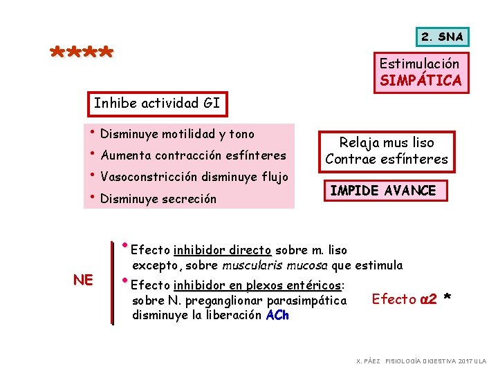 2. SNA **** Estimulación SIMPÁTICA Inhibe actividad GI • Disminuye motilidad y tono •