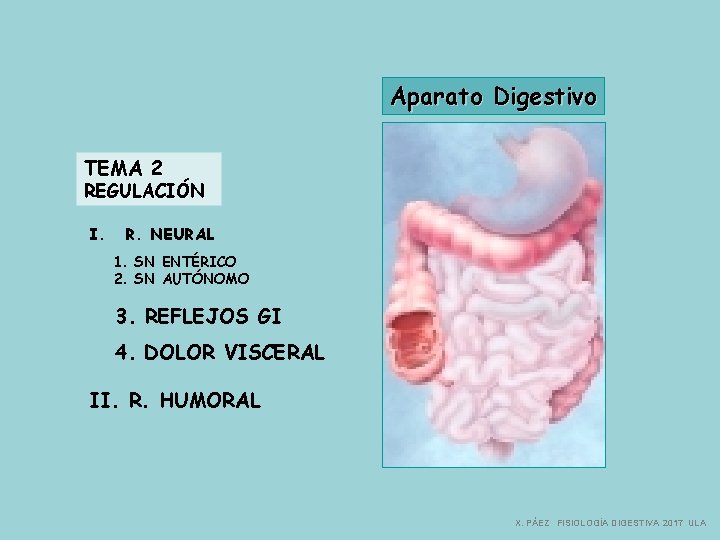 Aparato Digestivo TEMA 2 REGULACIÓN I. R. NEURAL 1. SN ENTÉRICO 2. SN AUTÓNOMO