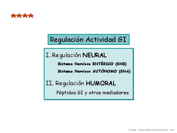 **** Regulación Actividad GI I. Regulación NEURAL Sistema Nervioso ENTÉRICO (SNE) Sistema Nervioso AUTÓNOMO