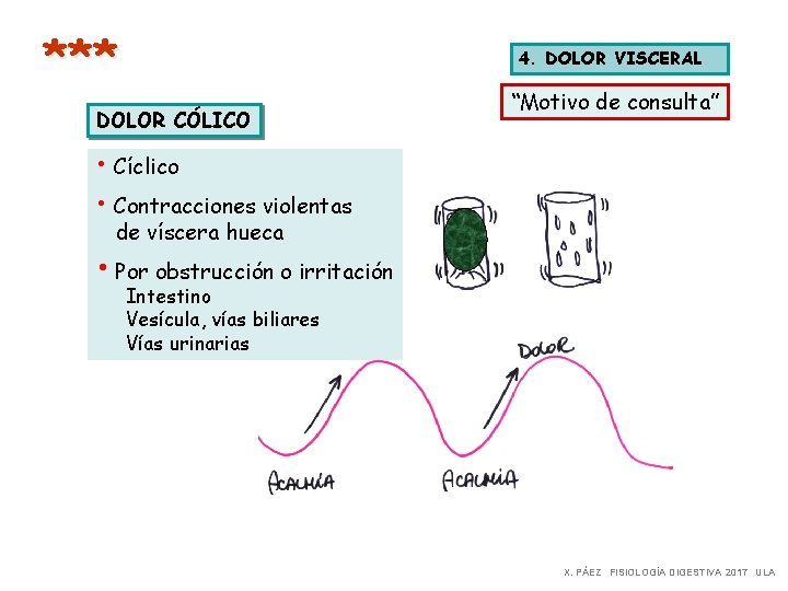 *** 4. DOLOR VISCERAL DOLOR CÓLICO “Motivo de consulta” • Cíclico • Contracciones violentas