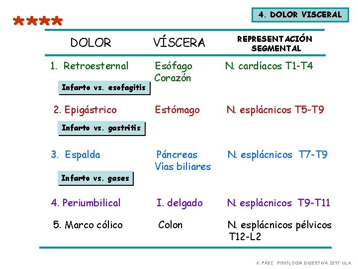 **** DOLOR 1. Retroesternal 4. DOLOR VISCERAL VÍSCERA REPRESENTACIÓN SEGMENTAL Esófago Corazón N. cardíacos