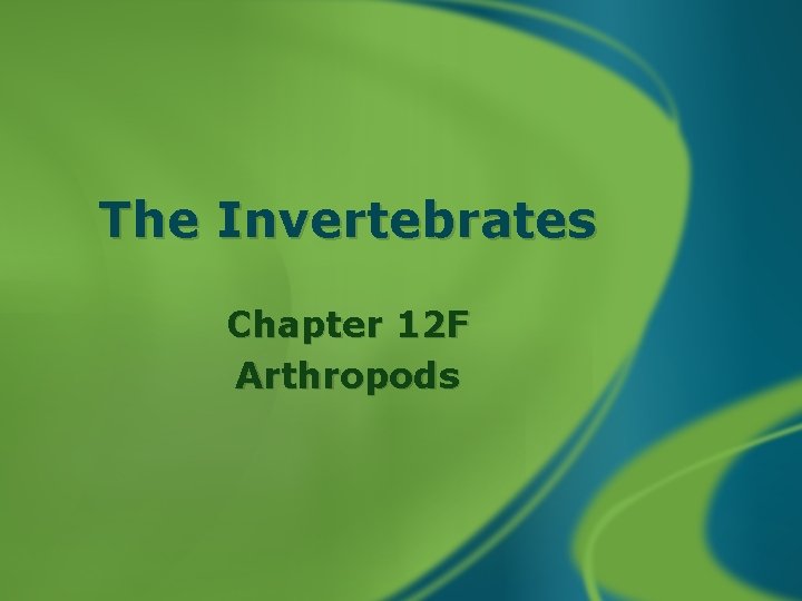 The Invertebrates Chapter 12 F Arthropods 