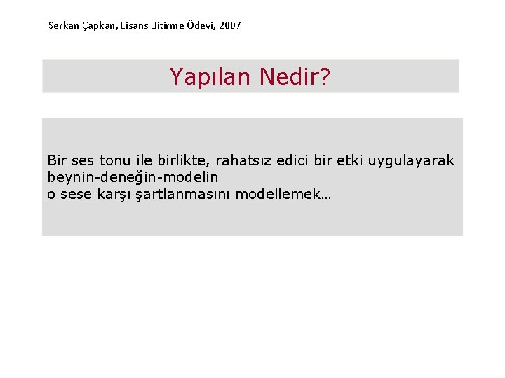 Serkan Çapkan, Lisans Bitirme Ödevi, 2007 Yapılan Nedir? Bir ses tonu ile birlikte, rahatsız