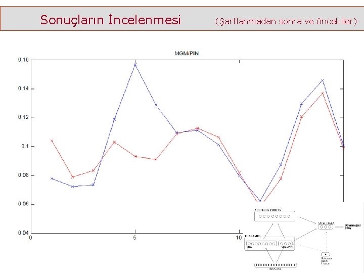 Sonuçların İncelenmesi (Şartlanmadan sonra ve öncekiler) 