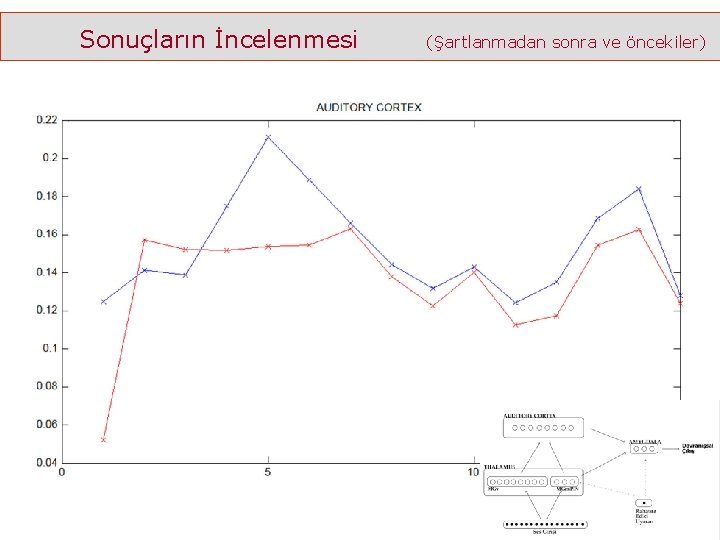 Sonuçların İncelenmesi (Şartlanmadan sonra ve öncekiler) 