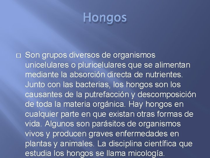 Hongos � Son grupos diversos de organismos unicelulares o pluricelulares que se alimentan mediante