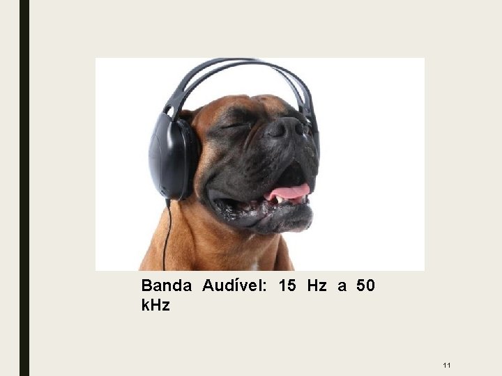 Banda Audível: 15 Hz a 50 k. Hz 11 