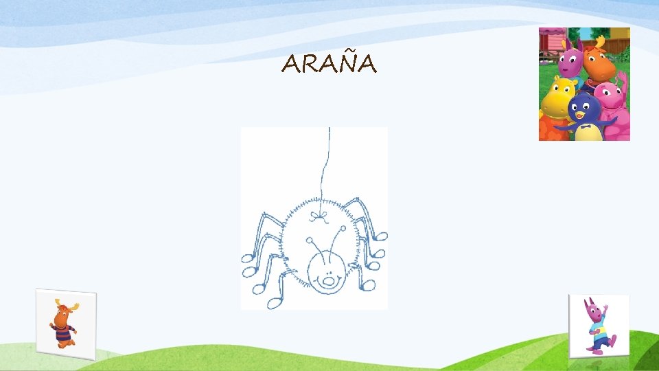 ARAÑA 