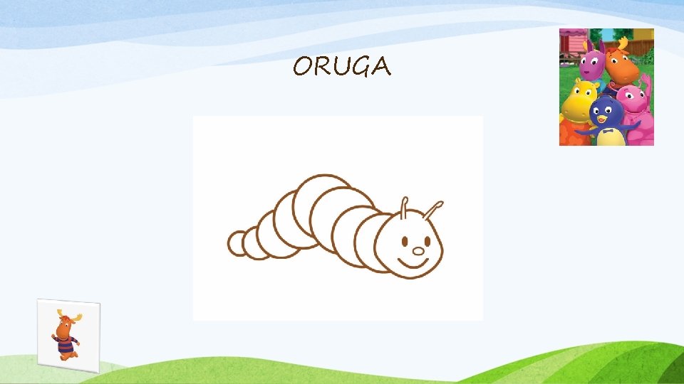 ORUGA 