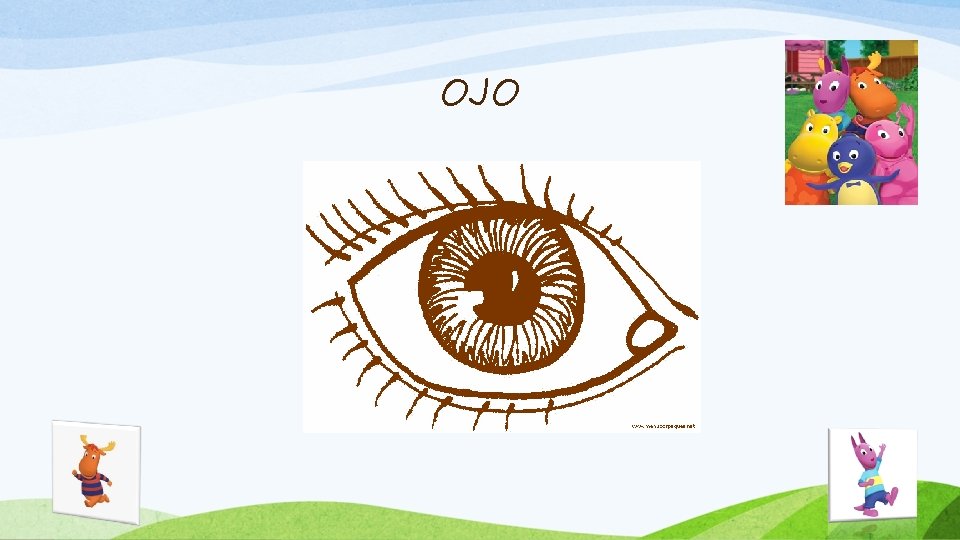 OJO 