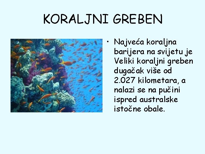 KORALJNI GREBEN • Najveća koraljna barijera na svijetu je Veliki koraljni greben dugačak više