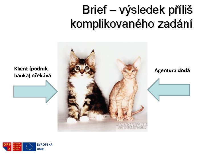 Brief – výsledek příliš komplikovaného zadání Klient (podnik, banka) očekává Agentura dodá 