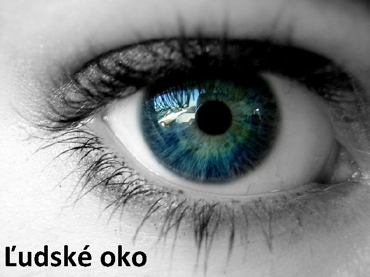 Ľudské oko 