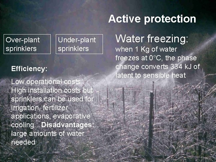 Active protection Over-plant sprinklers Under-plant sprinklers Efficiency: Low operational costs. High installation costs but