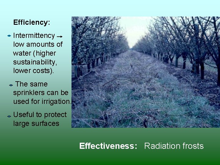 Efficiency: Intermittency low amounts of water (higher sustainability, lower costs). The same sprinklers can