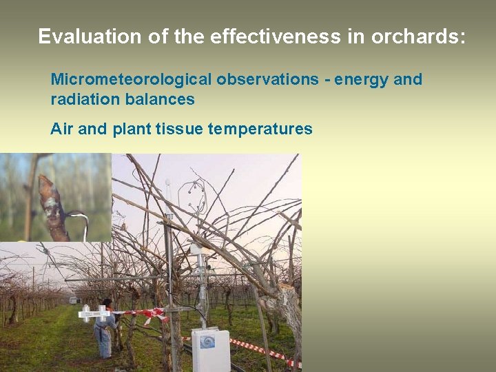 Evaluation of the effectiveness in orchards: Micrometeorological observations - energy and radiation balances Air