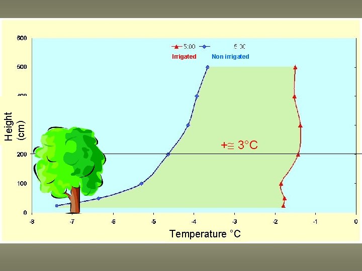 Height (cm) Irrigated Non irrigated + 3°C Temperature °C 