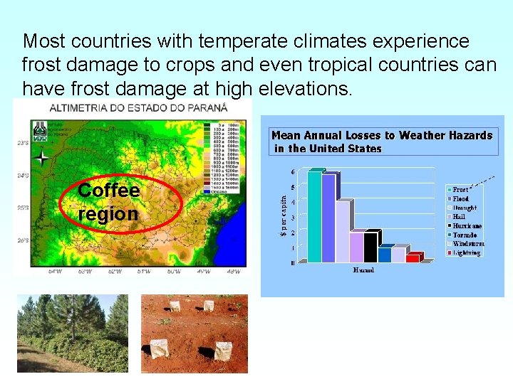 Most countries with temperate climates experience frost damage to crops and even tropical countries