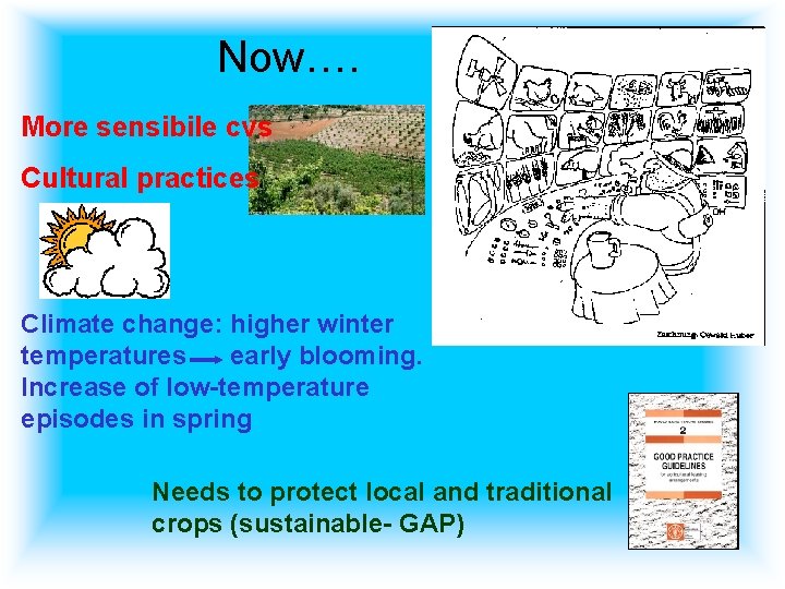 Now…. More sensibile cvs Cultural practices Climate change: higher winter temperatures early blooming. Increase