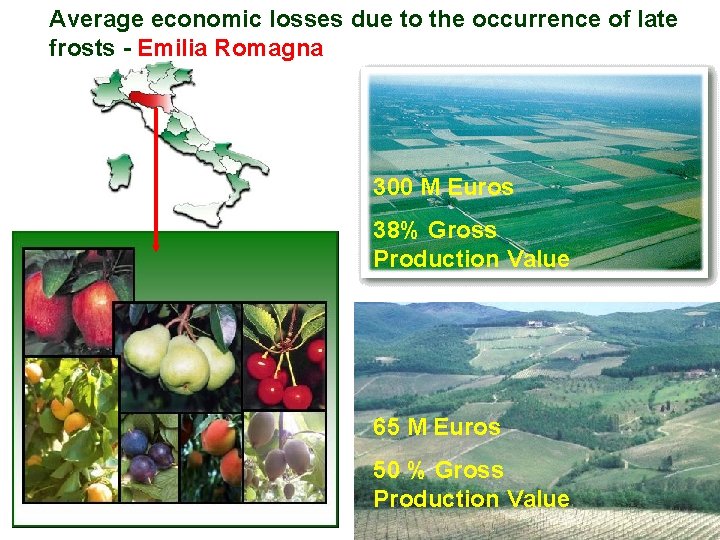 Average economic losses due to the occurrence of late frosts - Emilia Romagna 300