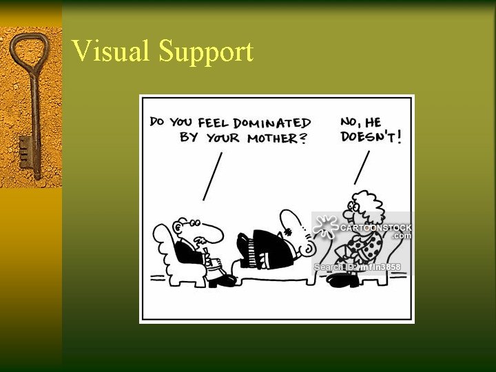 Visual Support 