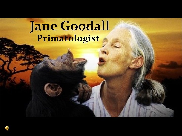 Jane Goodall Primatologist 