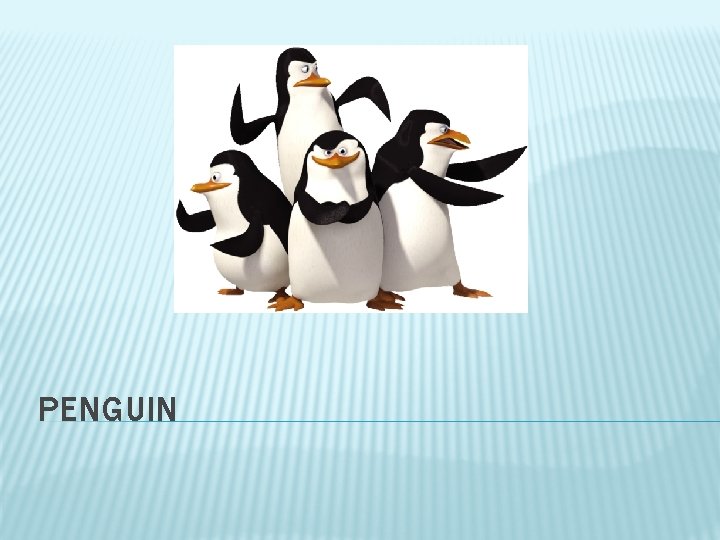 PENGUIN 