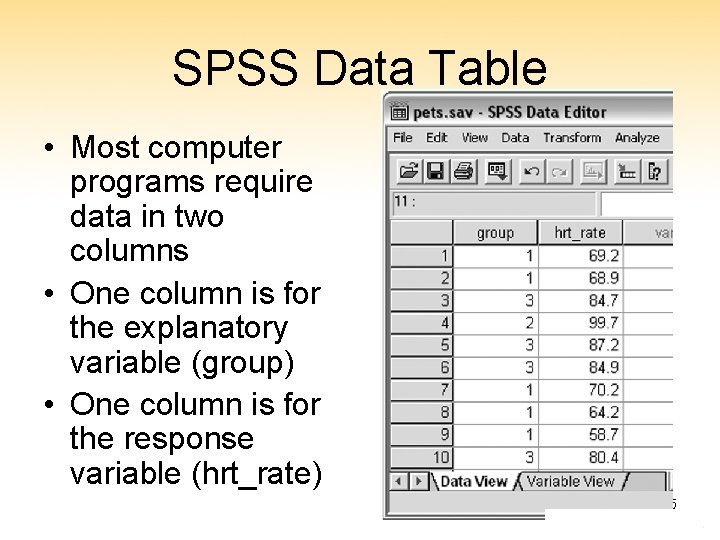 SPSS Data Table • Most computer programs require data in two columns • One
