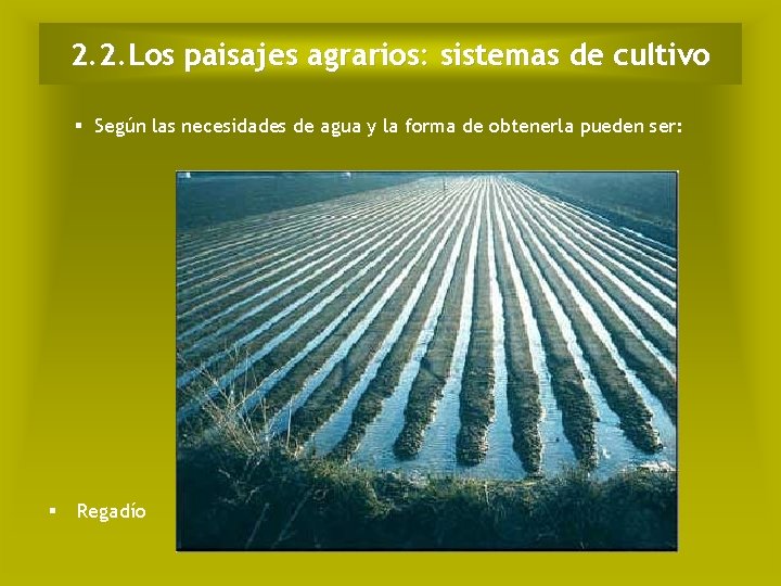 2. 2. Los paisajes agrarios: sistemas de cultivo Según las necesidades de agua y