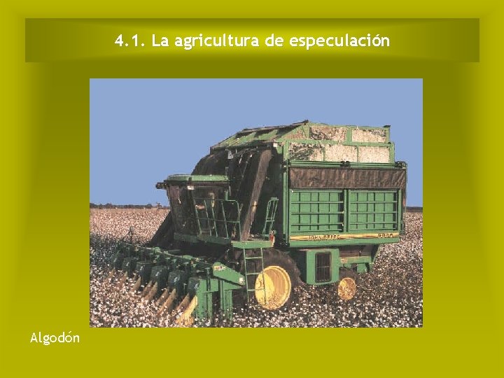 4. 1. La agricultura de especulación Algodón 