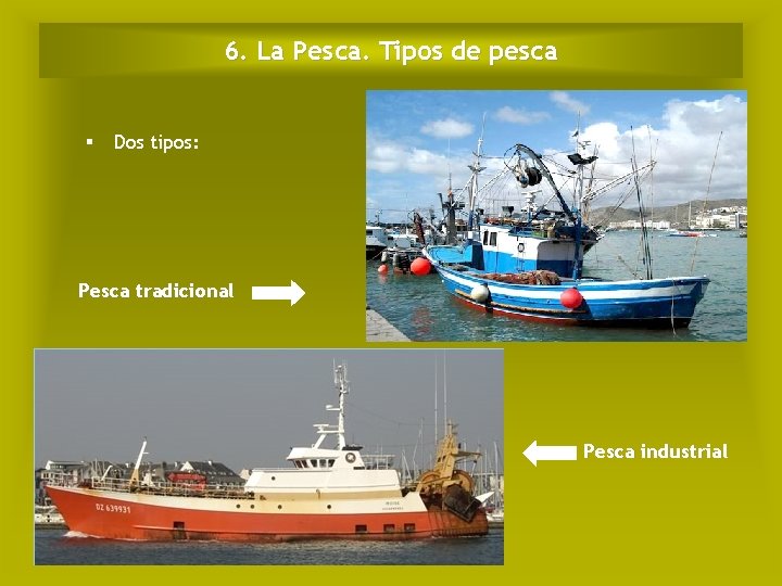 6. La Pesca. Tipos de pesca Dos tipos: Pesca tradicional Pesca industrial 