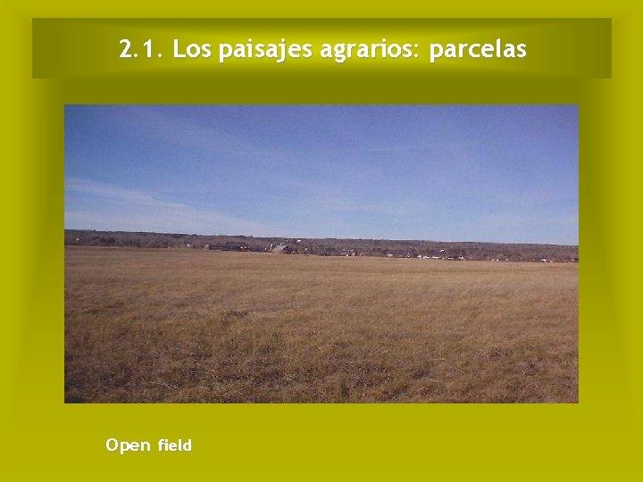 2. 1. Los paisajes agrarios: parcelas Open field 