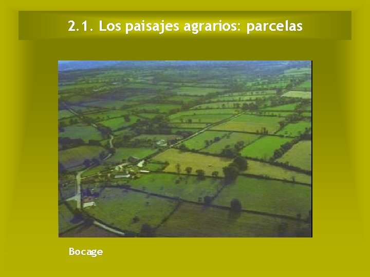 2. 1. Los paisajes agrarios: parcelas Bocage 