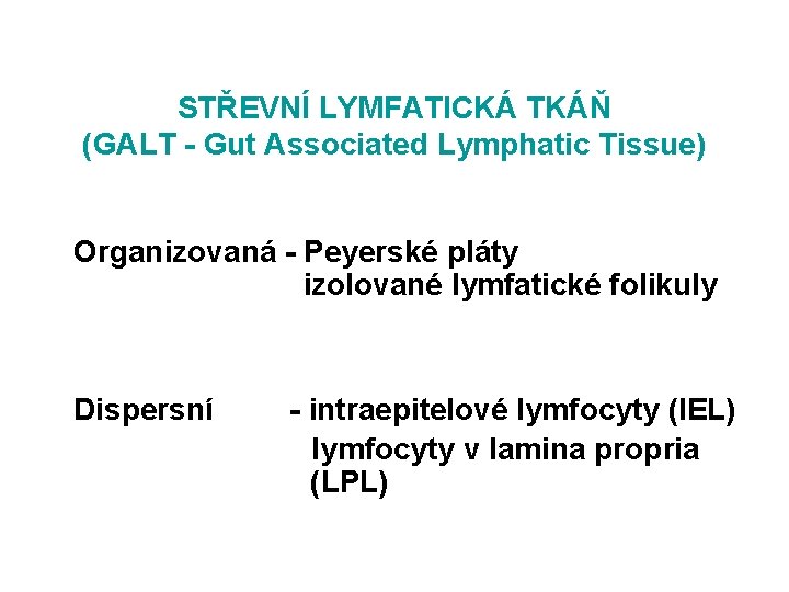 STŘEVNÍ LYMFATICKÁ TKÁŇ (GALT - Gut Associated Lymphatic Tissue) Organizovaná - Peyerské pláty izolované