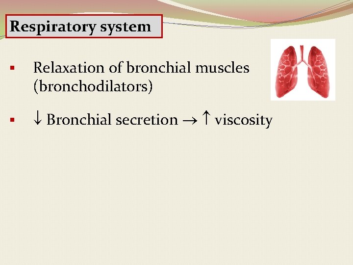 Respiratory system § Relaxation of bronchial muscles (bronchodilators) § Bronchial secretion viscosity 