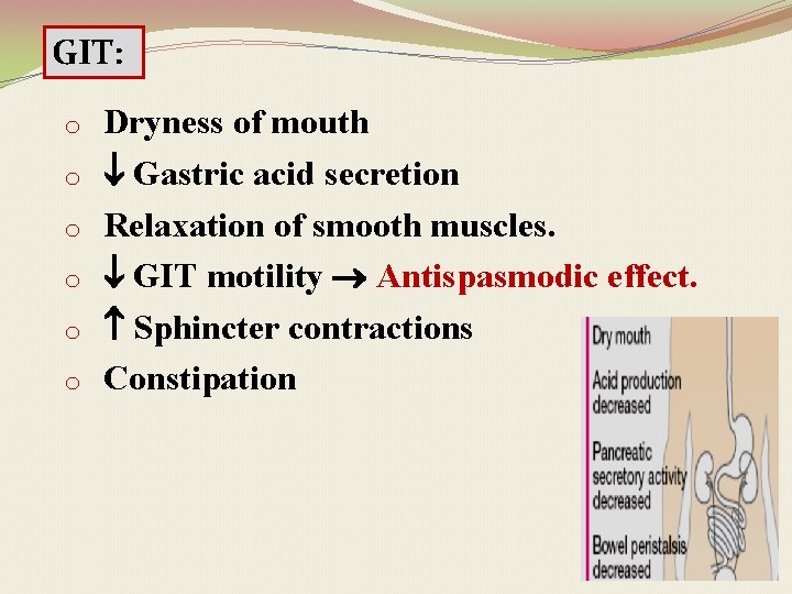 GIT: o o o Dryness of mouth Gastric acid secretion Relaxation of smooth muscles.